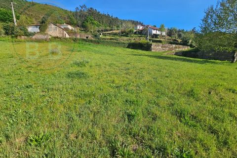 Villa i Cabeceiras de Basto, Braga, Cabeceiras de Basto - € 120.000 | Ref: CAS_190 - foto 22