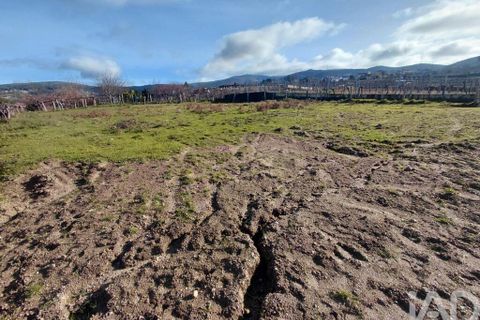 Terra a Melgaco, Viana do Castelo, Melgaco - € 20.000 | Ref: 783449 - foto 3