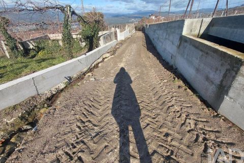 Terra a Melgaco, Viana do Castelo, Melgaco - € 20.000 | Ref: 783449 - foto 6