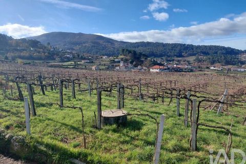 Terra a Melgaco, Viana do Castelo, Melgaco - € 20.000 | Ref: 783449 - foto 7