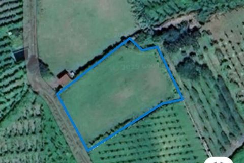 Terra a Melgaco, Viana do Castelo, Melgaco - € 20.000 | Ref: 783449 - foto 8