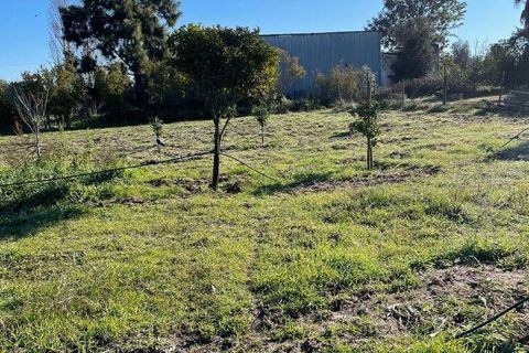 Helårsgrund i Palmela, Setubal, Palmela - € 150.000 | Ref: 785454 - foto 1