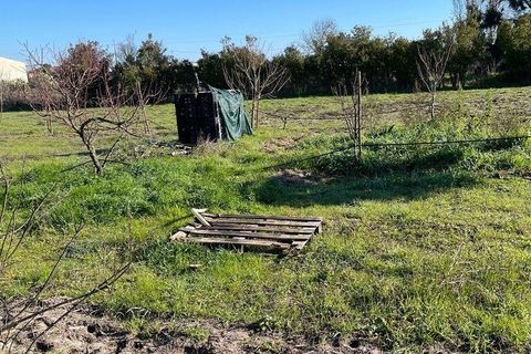 Helårsgrund i Palmela, Setubal, Palmela - € 150.000 | Ref: 785454 - foto 4