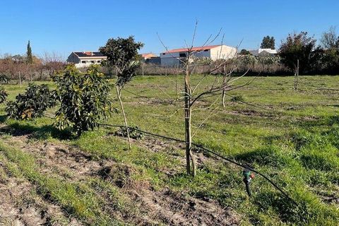 Helårsgrund i Palmela, Setubal, Palmela - € 150.000 | Ref: 785454 - foto 6