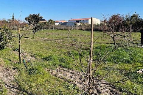 Helårsgrund i Palmela, Setubal, Palmela - € 150.000 | Ref: 785454 - foto 7