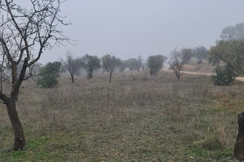 Finca i Bovera, Lerida, Bovera - € 16.000 | Ref: B1 - foto 5