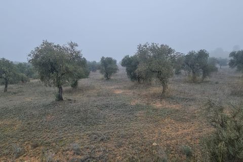 Finca i Bovera, Lerida, Bovera - € 16.000 | Ref: B1 - foto 7