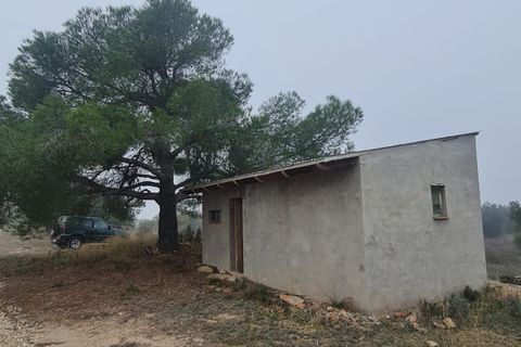 Finca i Bovera, Lerida, Bovera - € 16.000 | Ref: B1 - foto 6
