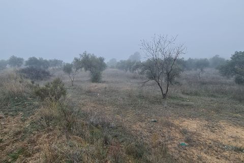 Finca i Bovera, Lerida, Bovera - € 16.000 | Ref: B1 - foto 17