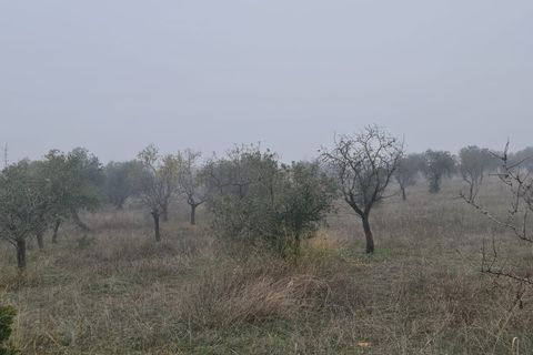 Finca i Bovera, Lerida, Bovera - € 16.000 | Ref: B1 - foto 2