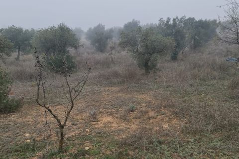 Finca i Bovera, Lerida, Bovera - € 16.000 | Ref: B1 - foto 16