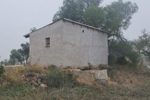 Finca i Bovera, Lerida, Bovera - € 16.000 | Ref: B1 - foto 19