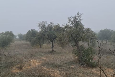 Finca i Bovera, Lerida, Bovera - € 16.000 | Ref: B1 - foto 15