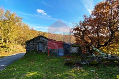 Byhus i Vila Verde, Braga, Vila Verde - € 49.500 | Ref: 08762 - foto 19
