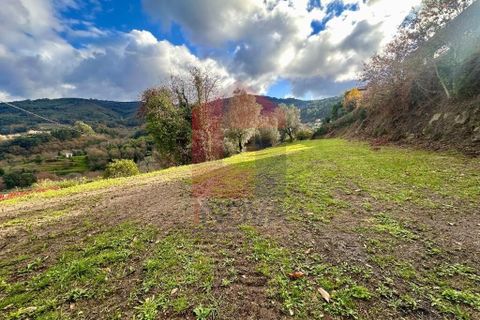 Byhus i Ponte de Lima, Viana do Castelo, Ponte de Lima - € 50.000 | Ref: 08763 - foto 3