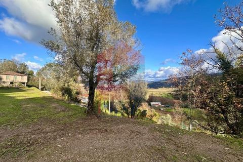 Byhus i Ponte de Lima, Viana do Castelo, Ponte de Lima - € 50.000 | Ref: 08763 - foto 15