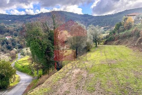 Byhus i Ponte de Lima, Viana do Castelo, Ponte de Lima - € 50.000 | Ref: 08763 - foto 17