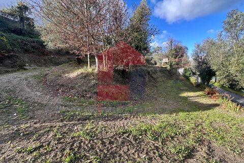 Byhus i Ponte de Lima, Viana do Castelo, Ponte de Lima - € 50.000 | Ref: 08763 - foto 19