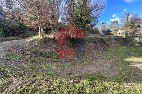 Byhus i Ponte de Lima, Viana do Castelo, Ponte de Lima - € 50.000 | Ref: 08763 - foto 20