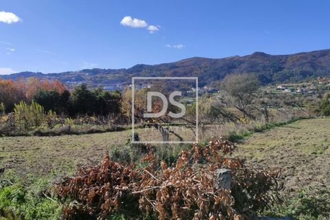 Helårsgrund i Baiao, Porto, Baiao - € 68.000 | Ref: DSPMCANAVSN28 - foto 2