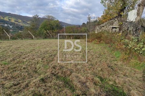 Helårsgrund i Baiao, Porto, Baiao - € 68.000 | Ref: DSPMCANAVSN28 - foto 3