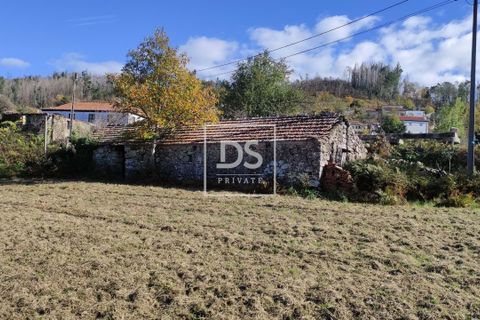 Helårsgrund i Baiao, Porto, Baiao - € 68.000 | Ref: DSPMCANAVSN28 - foto 9