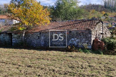 Helårsgrund i Baiao, Porto, Baiao - € 68.000 | Ref: DSPMCANAVSN28 - foto 10