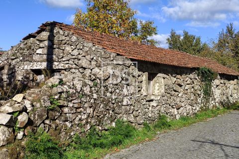 Helårsgrund i Baiao, Porto, Baiao - € 68.000 | Ref: DSPMCANAVSN28 - foto 11