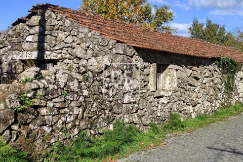 Helårsgrund i Baiao, Porto, Baiao - € 68.000 | Ref: DSPMCANAVSN28 - foto 12