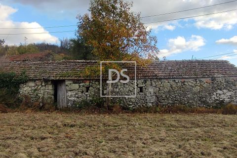 Helårsgrund i Baiao, Porto, Baiao - € 68.000 | Ref: DSPMCANAVSN28 - foto 16