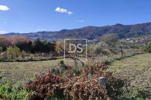 Helårsgrund i Baiao, Porto, Baiao - € 68.000 | Ref: DSPMCANAVSN28 - foto 17