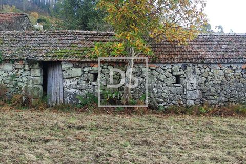Helårsgrund i Baiao, Porto, Baiao - € 68.000 | Ref: DSPMCANAVSN28 - foto 18
