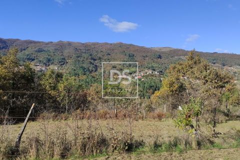 Helårsgrund i Baiao, Porto, Baiao - € 68.000 | Ref: DSPMCANAVSN28 - foto 21