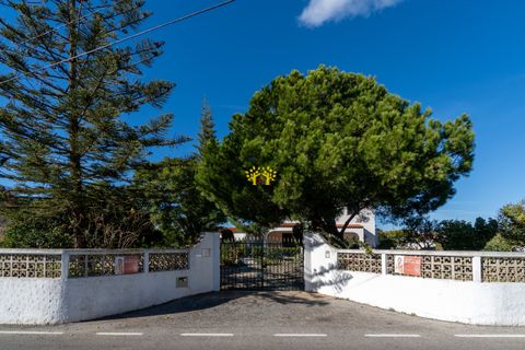 Villa i Lagoa, Faro, Lagoa - € 775.000 | Ref: LTH200 - foto 2