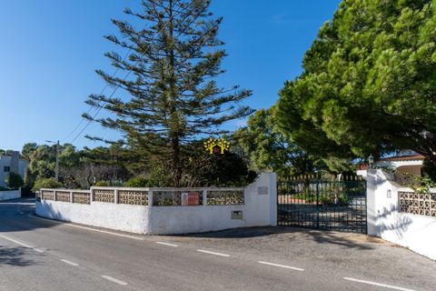 Villa i Lagoa, Faro, Lagoa - € 775.000 | Ref: LTH200 - foto 3