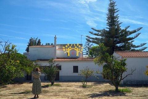 Villa i Lagoa, Faro, Lagoa - € 775.000 | Ref: LTH200 - foto 9