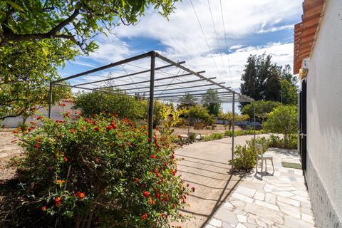 Villa i Lagoa, Faro, Lagoa - € 775.000 | Ref: LTH200 - foto 10