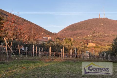 Landejendom i Cinto Euganeo, Padua, Cinto Euganeo - € 460.000 | Ref: I1702 - foto 3
