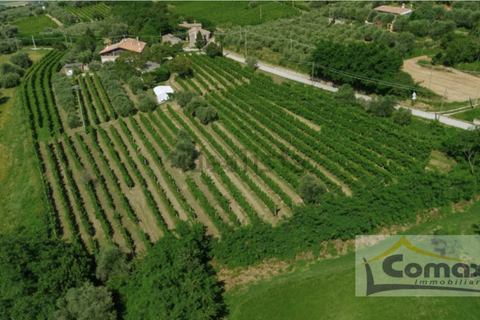 Landejendom i Cinto Euganeo, Padua, Cinto Euganeo - € 460.000 | Ref: I1702 - foto 5
