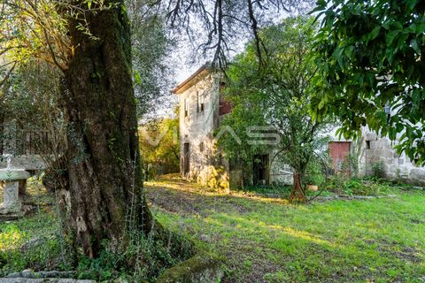 Farm i Amares, Braga, Amares - € 495.000 | Ref: 01-3761 - foto 3