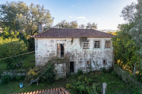 Farm i Amares, Braga, Amares - € 495.000 | Ref: 01-3761 - foto 7