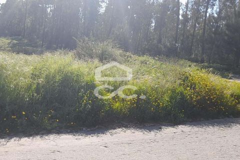 Helårsgrund i Lousada, Porto, Lousada - € 71.000 | Ref: 365/T/03066 - foto 4