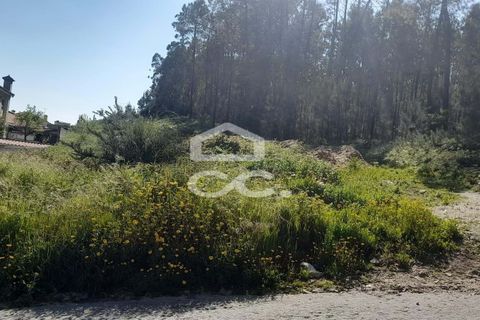 Helårsgrund i Lousada, Porto, Lousada - € 71.000 | Ref: 365/T/03066 - foto 6