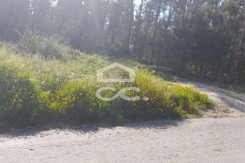 Helårsgrund i Lousada, Porto, Lousada - € 71.000 | Ref: 365/T/03066 - foto 7