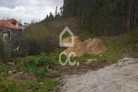 Helårsgrund i Lousada, Porto, Lousada - € 71.000 | Ref: 365/T/03066 - foto 18