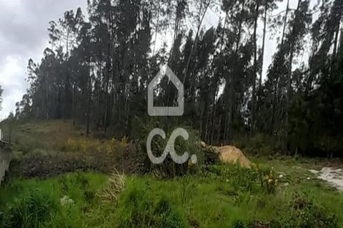 Helårsgrund i Lousada, Porto, Lousada - € 71.000 | Ref: 365/T/03066 - foto 27