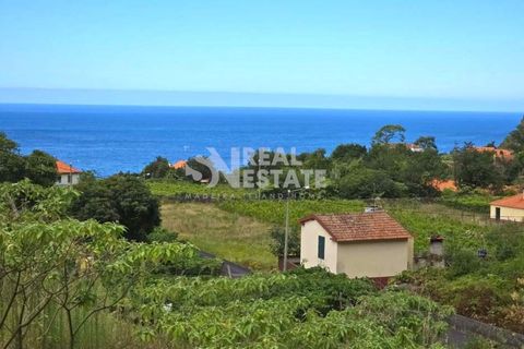 Villa i Santana, Madeira, Santana - € 220.000 | Ref: 071845 - foto 18
