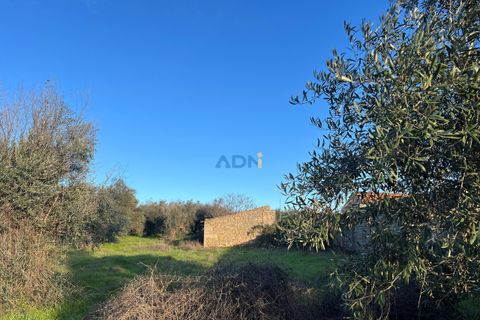 Farm hus i Castelo Branco, Castelo Branco, Castelo Branco - € 350.000 | Ref: 125127 - foto 5