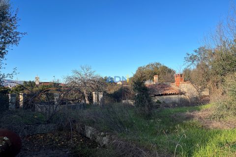 Farm hus i Castelo Branco, Castelo Branco, Castelo Branco - € 350.000 | Ref: 125127 - foto 6