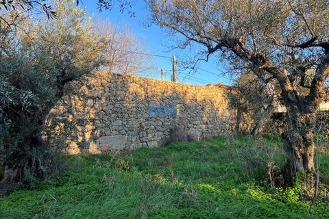 Farm hus i Castelo Branco, Castelo Branco, Castelo Branco - € 350.000 | Ref: 125127 - foto 13